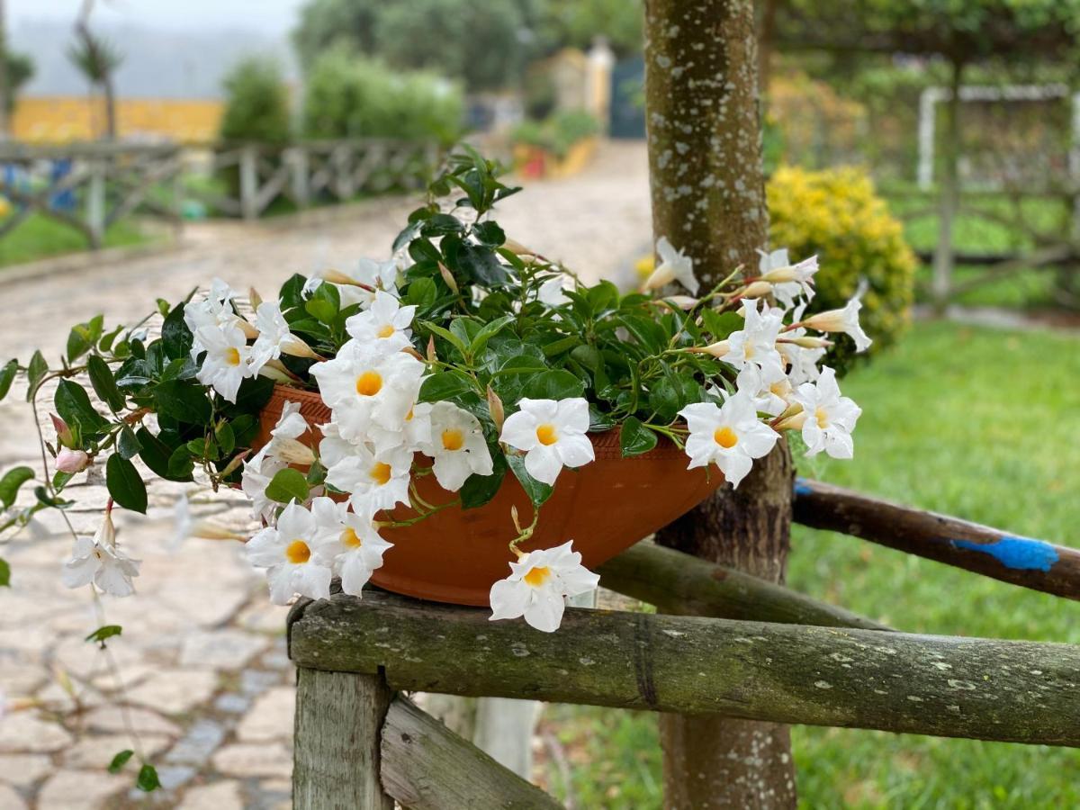 Charm Azenha Dobidos Farm