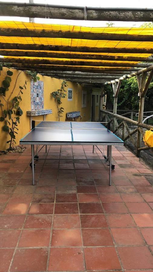 Charm Azenha Dobidos Farm Séjour à la ferme Olho Marinho